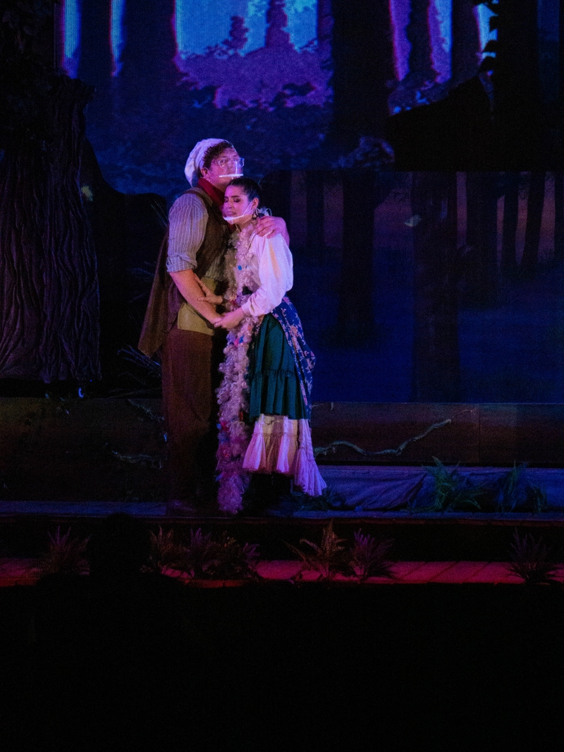 Review: INTO THE WOODS at Florida Repertory Theatre 
