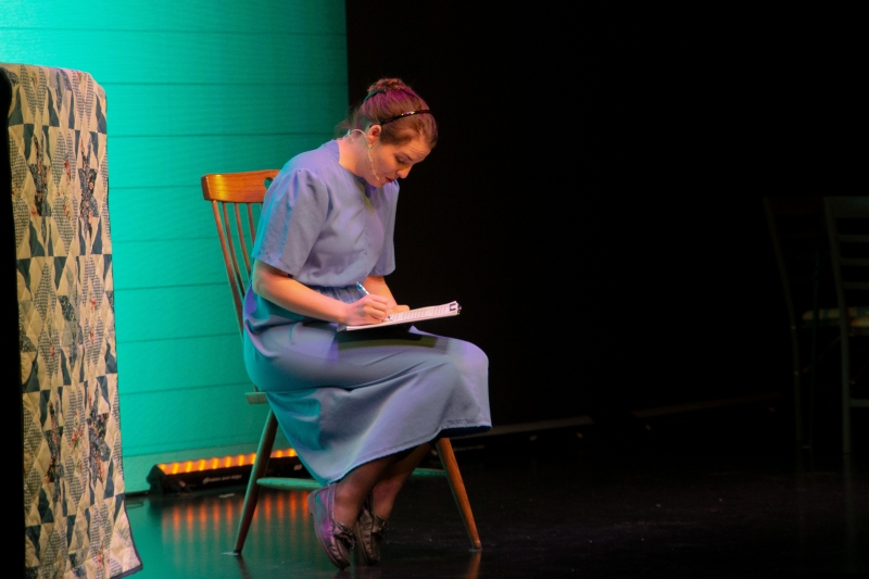 Review: BEST OF ME- A NEW MUSICAL COMEDY at Blue Gate Theatre Image