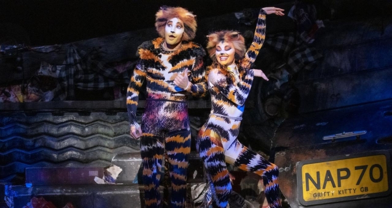 BWW Previews: CATS IS BACK at Ronacher Theatre Image