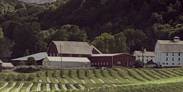 Salem's Gardenworks Farm Will Host Open Air Fort Salem Theater Fundraiser Concert Photo