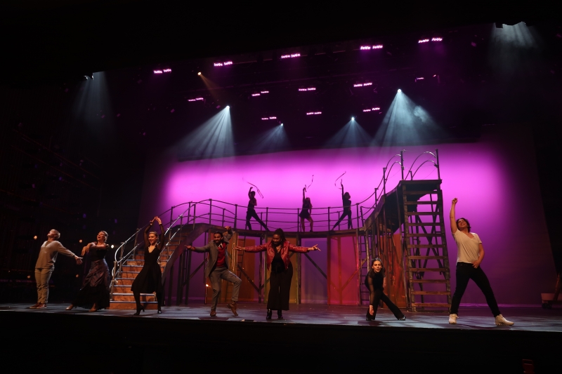 Student Blog: Northwestern's Dolphin Show Still Has Magic to Do Image
