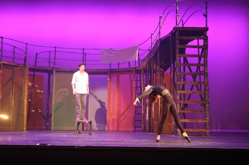 Student Blog: Northwestern's Dolphin Show Still Has Magic to Do Image