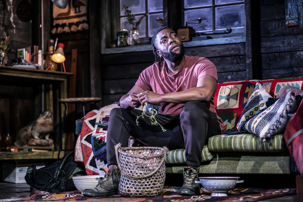 Photo Flash: First Look at WALDEN at the Harold Pinter Theatre  Image