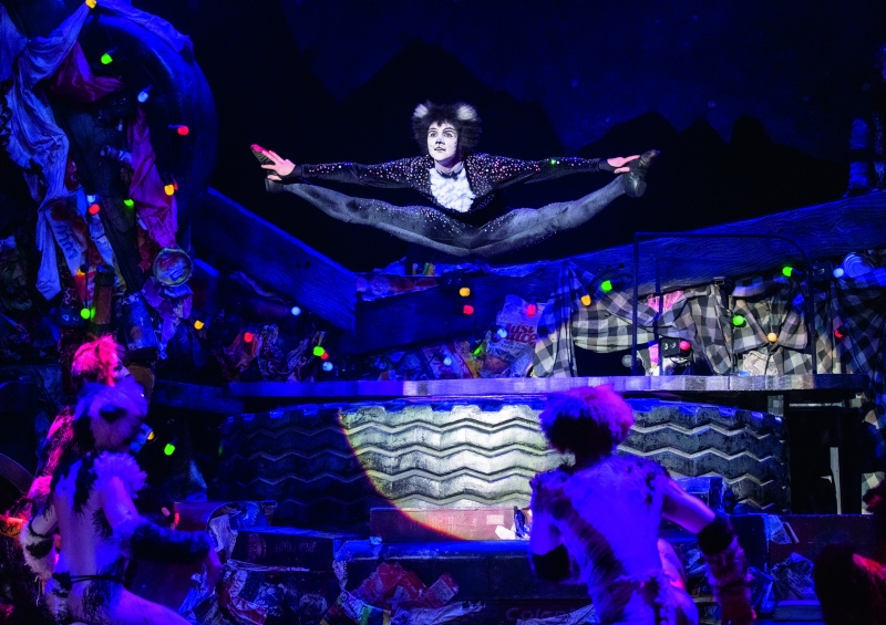 Review: CATS Returns To Ronacher Image