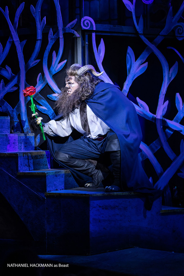 Photo/Video: Check Out BEAUTY AND THE BEAST at Tuacahn Center for the Arts Image