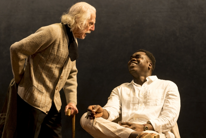 Review: The Farcical Comedy Of THE CHERRY ORCHARD Is Captured With Emotional Depth In Eamon Flack's Adaptation Of Chekhov's Last Work. Image