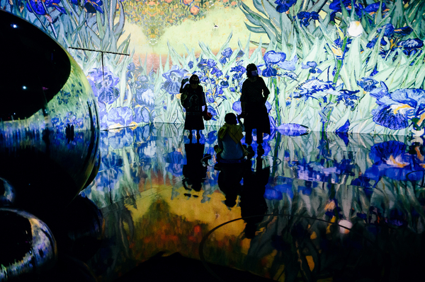 Photo Flash: First Look at IMMERSIVE VAN GOGH at Pier 36 Image