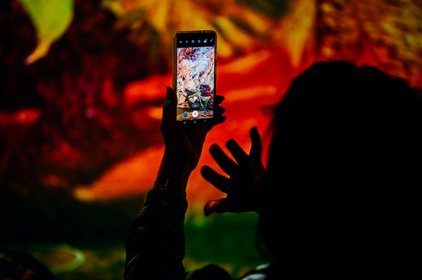 Photo Flash: First Look at IMMERSIVE VAN GOGH at Pier 36 Image