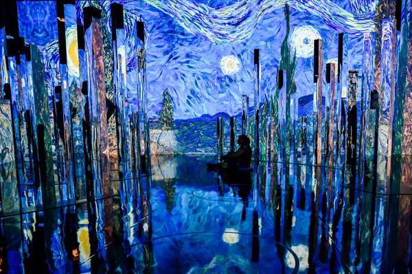Photo Flash: First Look at IMMERSIVE VAN GOGH at Pier 36 Image