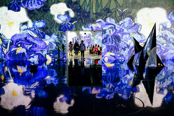 Photo Flash: First Look at IMMERSIVE VAN GOGH at Pier 36 Image