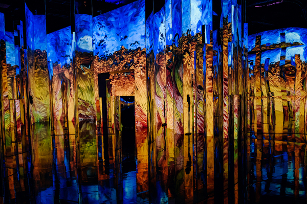 Photo Flash: First Look at IMMERSIVE VAN GOGH at Pier 36 Image