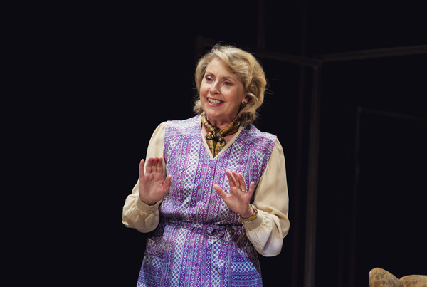 Photo Flash: First Look at A SPLINTER OF ICE on UK Tour This Summer Image