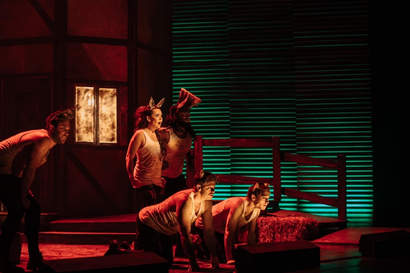 Review: ANIMAL FARM by shake & stir theatre co  Image