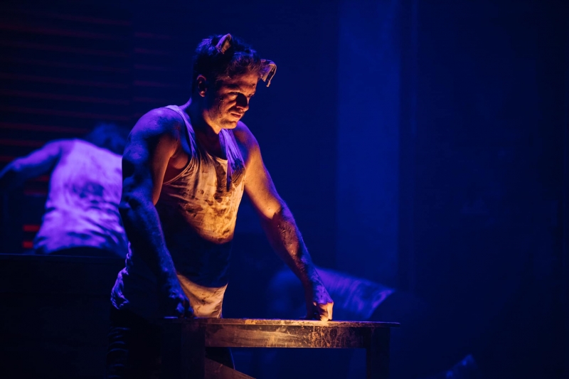 Review: ANIMAL FARM by shake & stir theatre co Image