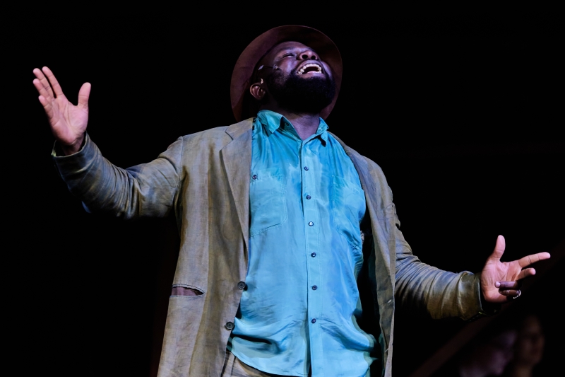Review: MAN OF LA MANCHA at Châtelet Image