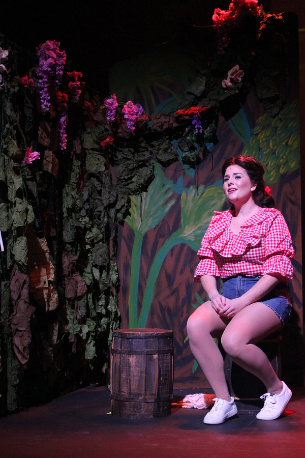 Photo Flash: GILLIGAN'S ISLAND Sets Sail at Arizona Broadway Theatre Image