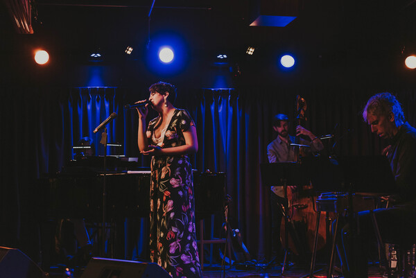 Photo Flash: Travis Moser Brings THE SONGS OF LINDA RONSTADT to The Green Room 42 Image
