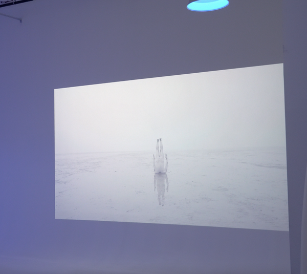 Photos: Ziel Dance & Film Festival Presents REFRACTIONS Image
