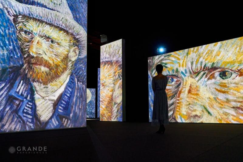 Review: VAN GOGH is ALIVE at Stanley Marketplace Image
