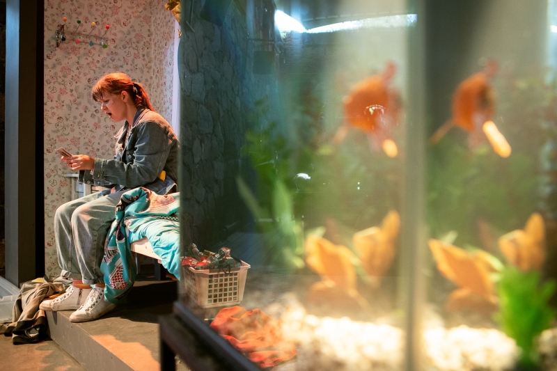 BWW Finland Review: Fall in love with Wisdom at Ryhmäteatteri Image