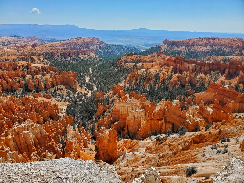 Student Blog: A Change in Scenery Image