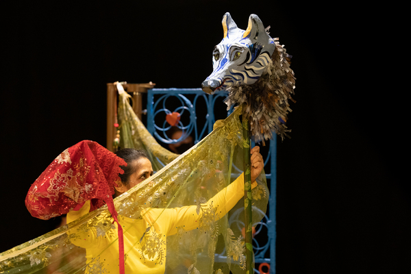 Photos: First Look at MAANIKA AND THE WOLF at the Polka Theatre  Image