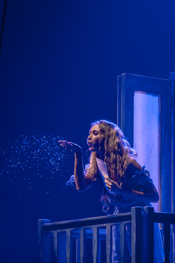 Photo Flash: Get A First Look At MAMMA MIA! In Belgium Image