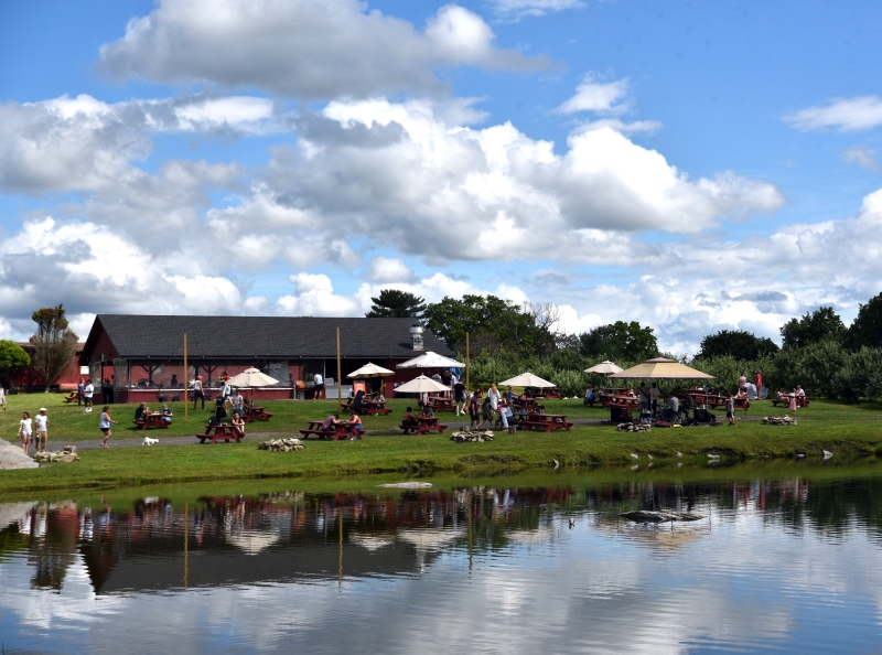 Visit TWIN STAR ORCHARDS in New Paltz-The Home of Brooklyn Cider House 