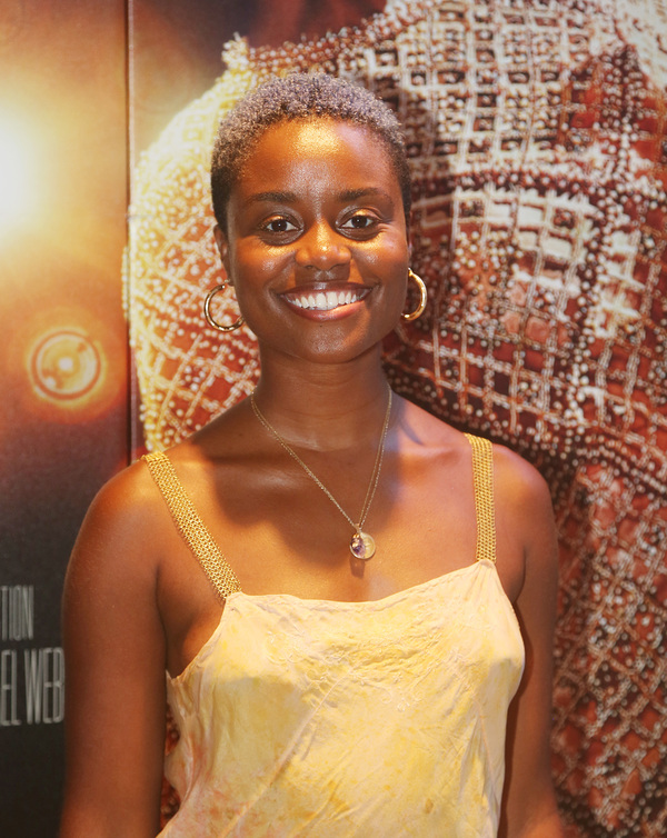 Photos: Broadway Stars Attend Industry Screening of RESPECT Image
