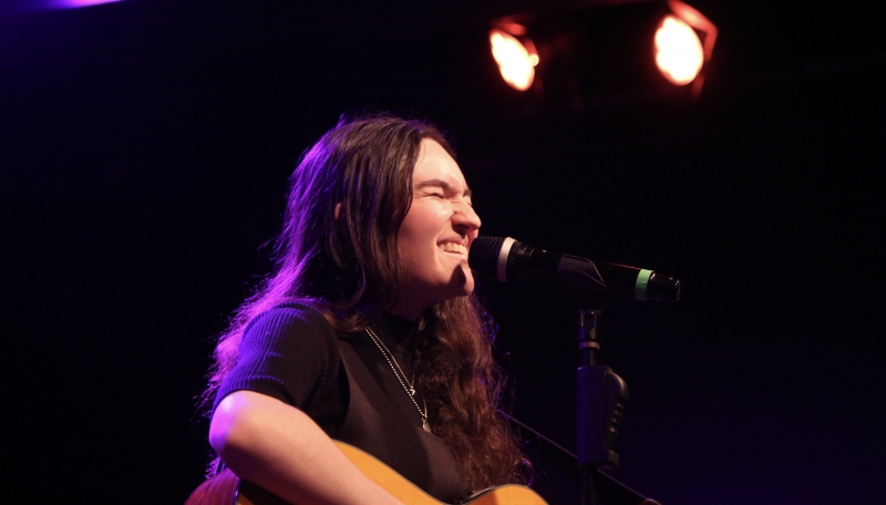 Photo Flash: August 31st THE LINEUP WITH SUSIE MOSHER  at Birdland Theater Showcased by Gene Reed AND Stewart Green  Image