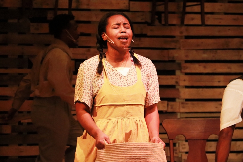 Review: THE COLOR PURPLE at The Laboratory Theater Of Florida 