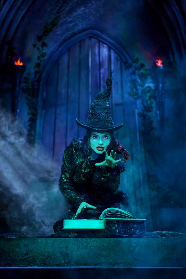 Photos: Get A First Look At The New Non-Replica Production of WICKED in Hamburg Image