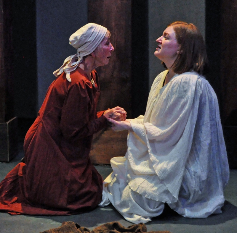 Review: MOTHER OF THE MAID at Metropolitan Ensemble Theatre  Image