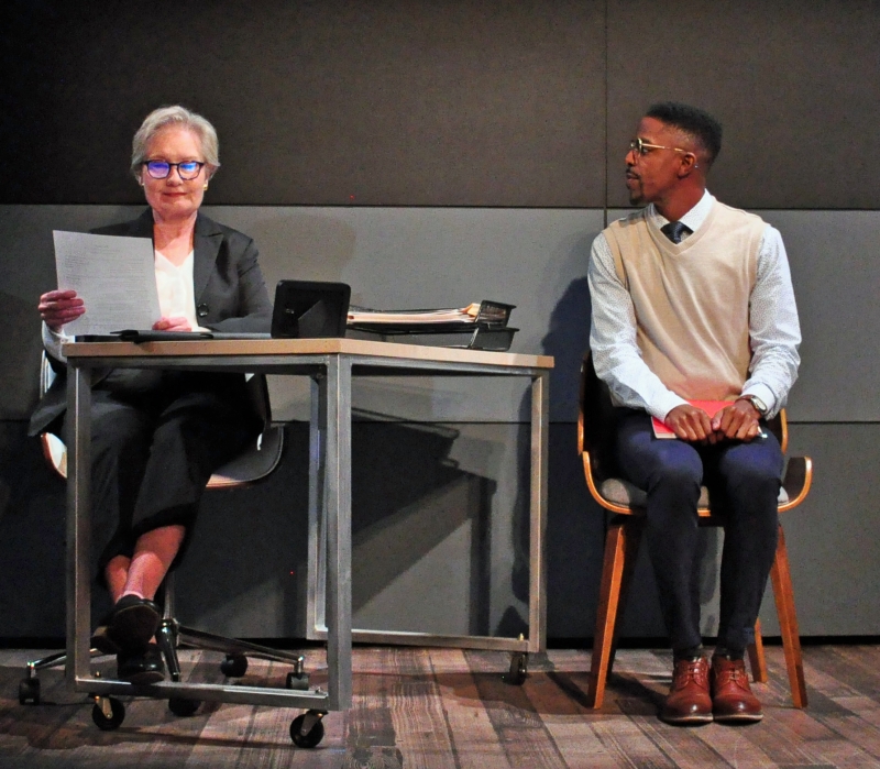 Review: LIFESPAN OF A FACT at Unicorn Theatre Image