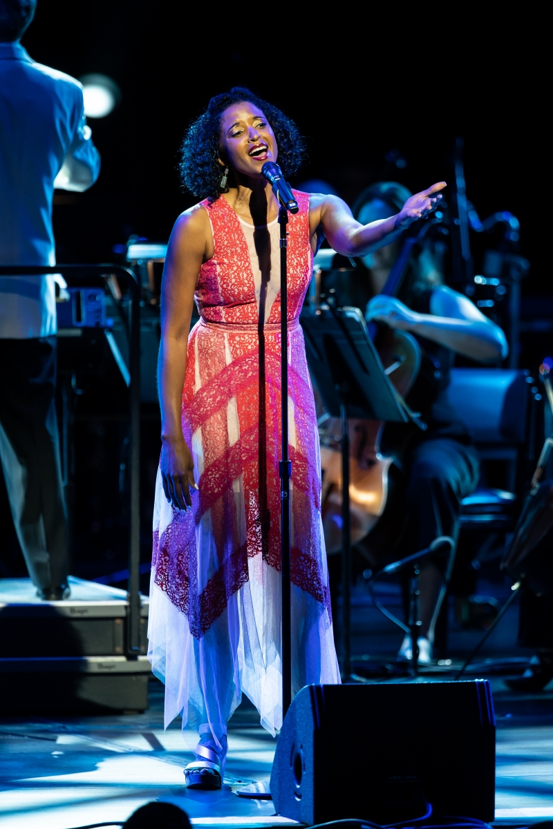 Review: BROADWAY IN THE PARK at Wolf Trap Image