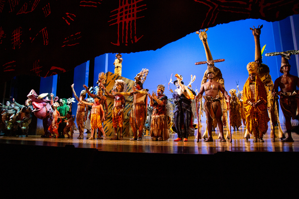 Photos: Go Inside the Curtain Call for THE LION KING's Return to Broadway Image
