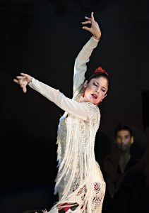 Review: FESTIVE, FASCINATING FLAMENCO AL FRESCO at The Fountain Theatre Image