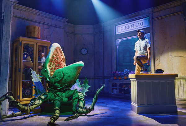 Photos: First Look at Jeremy Jordan, Tammy Blanchard & Christian Borle in LITTLE SHOP OF HORRORS, Re-Opening Tonight! Image