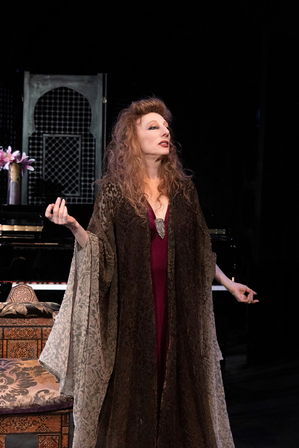 Photos: First Look at IDA RUBENSTEIN: THE FINAL ACT at the Playground Theatre Image