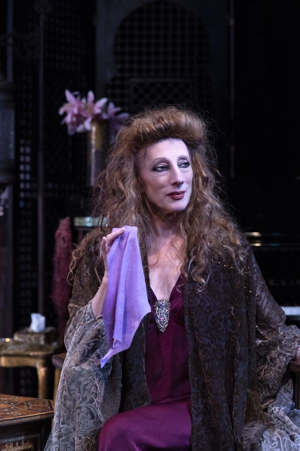 Photos: First Look at IDA RUBENSTEIN: THE FINAL ACT at the Playground Theatre Image