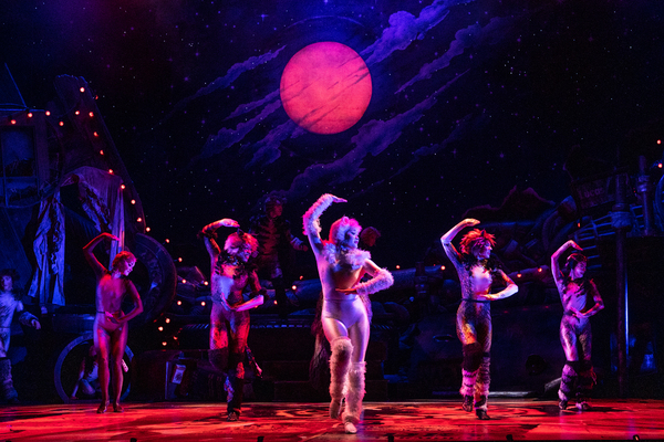 Photos: First Look at the New Company of CATS On Tour Image
