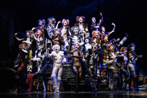 Photos: First Look at the New Company of CATS On Tour Image