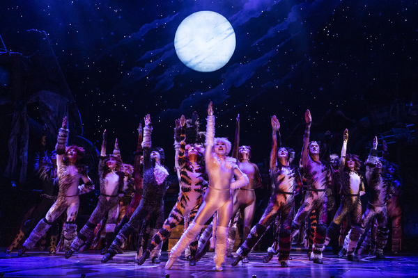 Photos: First Look at the New Company of CATS On Tour 