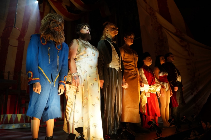 Review: SIDE SHOW at The Henegar Center Image