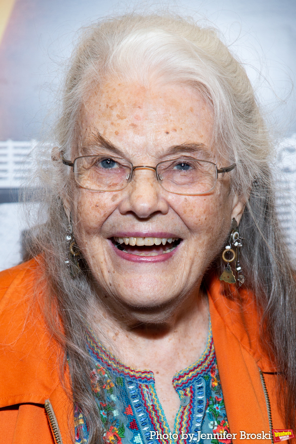 Photos: On the Red Carpet for Opening Night of DANA H. Image