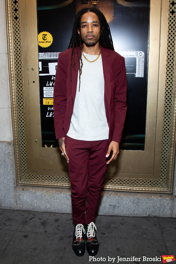 Photos: On the Red Carpet for Opening Night of DANA H. Image