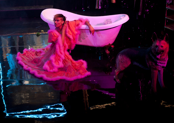 Photos: First Look at DORIAN at Reading Rep Theatre Image