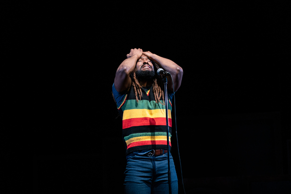 Photos: First Look at the Cast of GET UP, STAND UP! THE BOB MARLEY MUSICAL Image