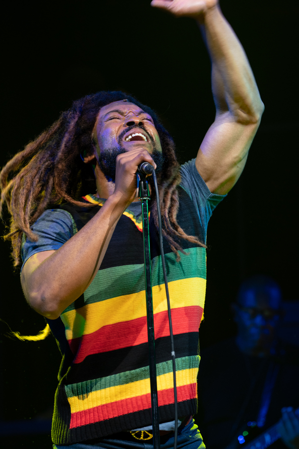 Photos: First Look at the Cast of GET UP, STAND UP! THE BOB MARLEY MUSICAL Image