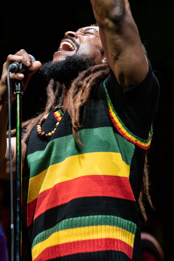Photos: First Look at the Cast of GET UP, STAND UP! THE BOB MARLEY MUSICAL Image